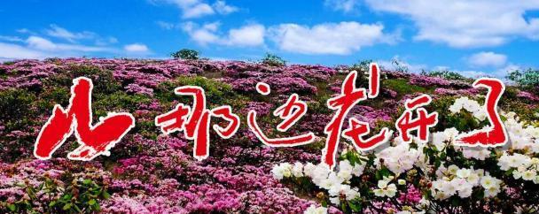 重磅！电影《山那边花开了》即将开拍