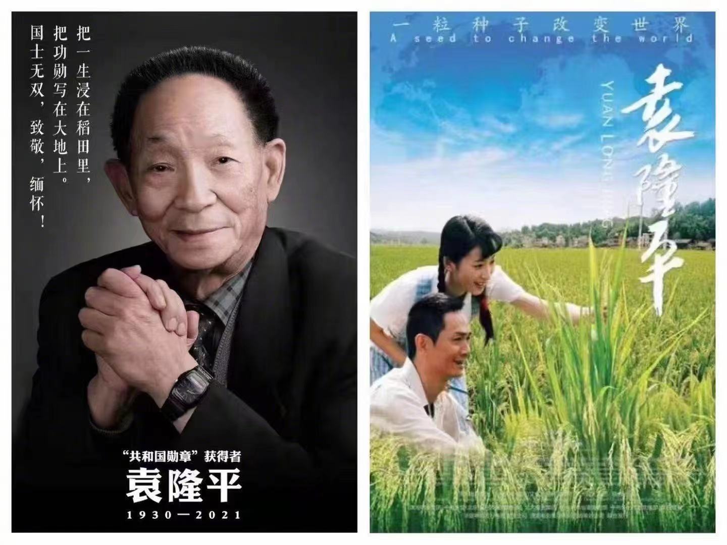 湖南卫视播放电影《袁隆平》,创近期收视新高