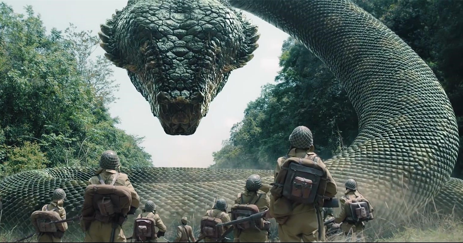 网大未出圈，但快了