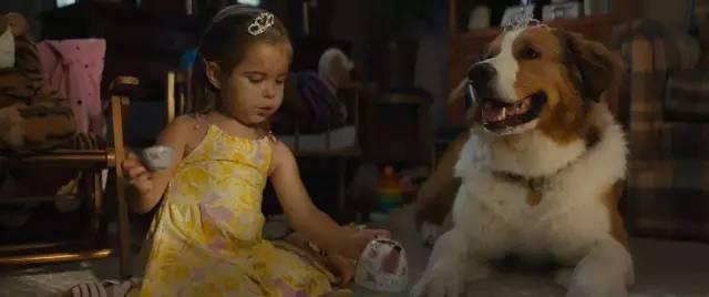 u=401951554,738383173&fm=173&app=49&f=JPEG