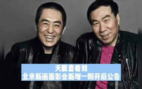 张艺谋与张伟平的黄金搭档，最终也败给黄金